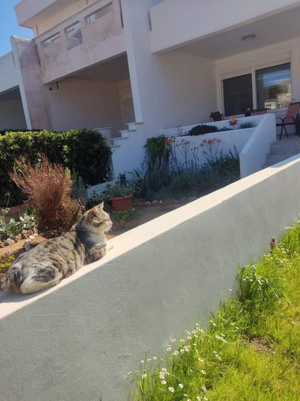Katerina Summerhouse Dhaskalion Luaran gambar