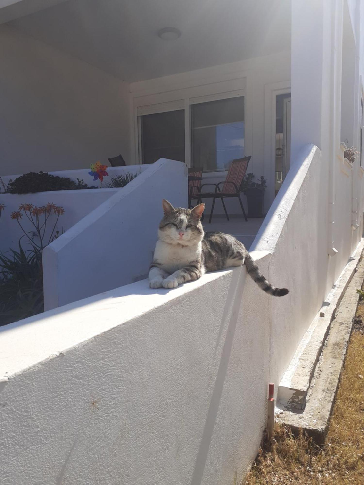 Katerina Summerhouse Dhaskalion Luaran gambar